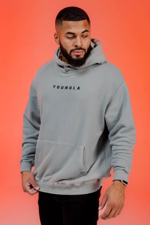 YoungLA 535 Monarch Pullovers Erkek Kapşonlu Gri | 395-JWCSYZ