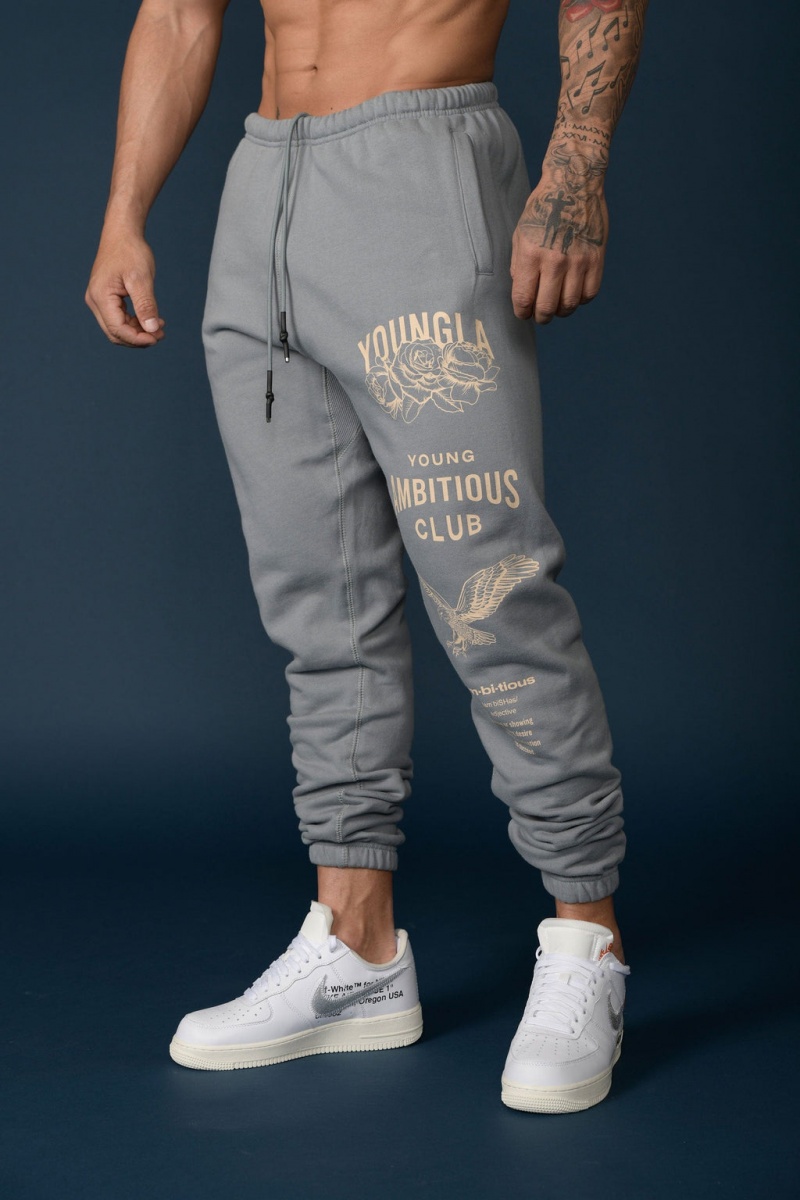 YoungLA 233 The Immortal Erkek Jogger Pantolon Gri | 915-OIAQNT